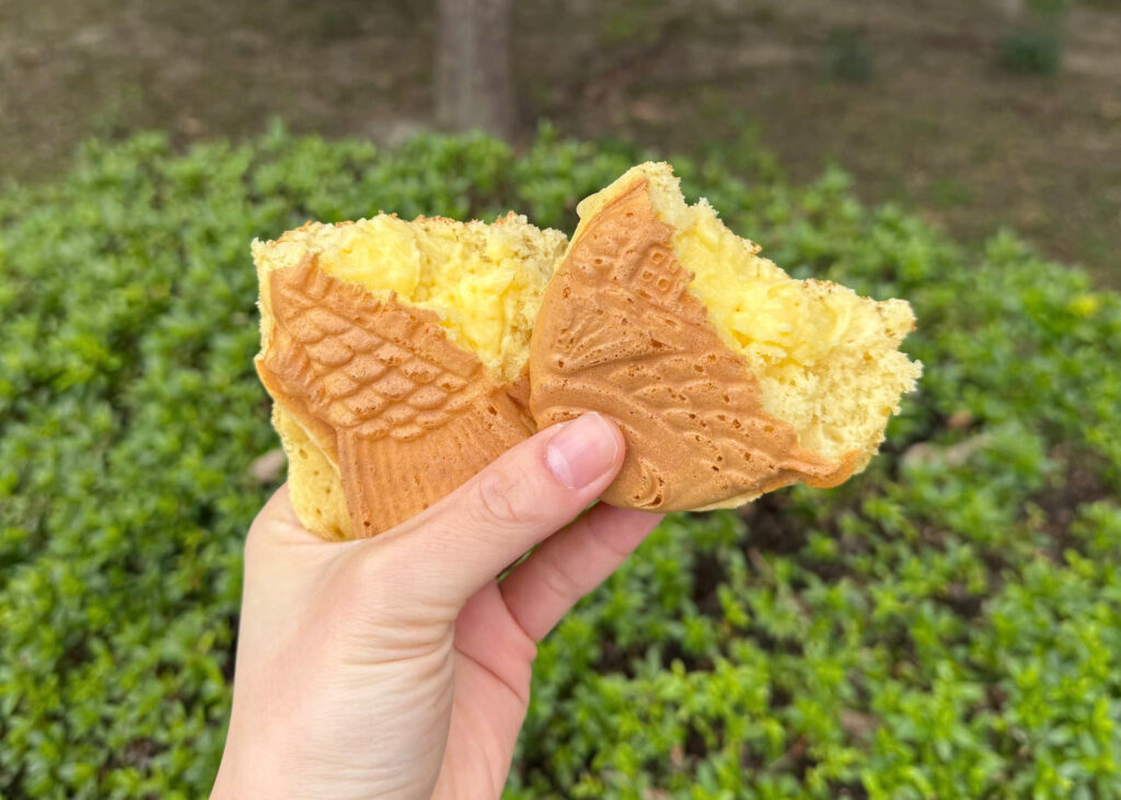 Fish-shaped Japanese dessert taiyaki with custard