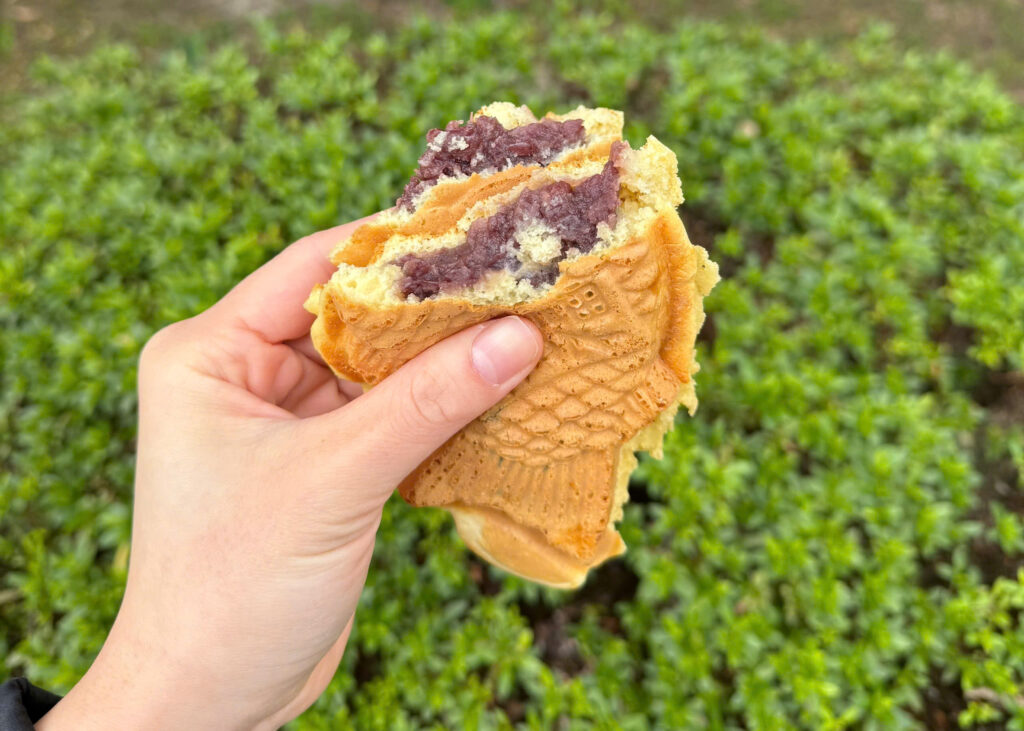 Freshly baked taiyaki filled with red bean paste
